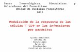 Sylvia Dematteis Cátedra de Inmunología Dpto. de Biociencias Facultad de Química Modulación de la respuesta de las células T-CD4 + en las infecciones por.