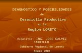 DIAGNOSTICO Y POSIBILIDADES de Desarrollo Productivo en la Region LORETO Expositor : ING. JOSE GALVEZ CARRILLO Gobierno Regional de Loreto Enero 2004.