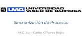 Sincronización de Procesos M.C. Juan Carlos Olivares Rojas.