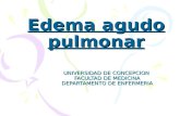 UNIVERSIDAD DE CONCEPCION FACULTAD DE MEDICINA DEPARTAMENTO DE ENFERMERIA UNIVERSIDAD DE CONCEPCION FACULTAD DE MEDICINA DEPARTAMENTO DE ENFERMERIA Edema.