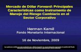 Mercado de Dólar Forward: Principales Características como Instrumento de Manejo del Riesgo Cambiario en el Sector Corporativo Herman Kamil Fondo Monetario.