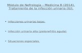 Módulo de Nefrología – Medicina B (2014). Tratamiento de la infección urinaria (IU). Infecciones urinarias bajas. Infección urinaria alta (pielonefritis.