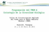 Taller de Circunscripción Ampliado del Fondo para el Medio Ambiente Mundial (FMAM) Asunción, Paraguay 14 y 15 de Abril de 2015 Programación del FMAM-6.