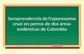 Seroprevalencia deTrypanosoma cruzi en perros de dos áreas endémicas de Colombia.
