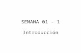 SEMANA 01 - 1 Introducción. INTRODUCCION Se pretende mostrar la evolución que han sufrido los perfiles tradicionales básicos de las actividades de los.