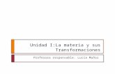 Unidad I:La materia y sus Transformaciones Profesora responsable: Lucía Muñoz.