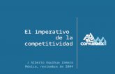 Factores económico-sociales del desarrollo sostenible El imperativo de la competitividad J Alberto Equihua Zamora México, noviembre de 2004.