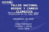 TALLER NACIONAL BOSQUE Y CAMBIO CLIMATICO Oportunidades del País para insertarse en el Tema REDD GOBERNANZA DE REDD Jorge Rodríguez Finnfor – CATIE Julio.