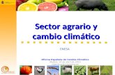 1 Oficina Española de Cambio Climático Madrid, 24 de abril de 2015 mjamoya@magrama.es Sector agrario y cambio climático ENESA.