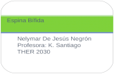 Nelymar De Jesús Negrón Profesora: K. Santiago THER 2030 Espina Bífida.