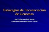 Estrategias de Secuenciación de Genomas José Guillermo Dávila Ramos Centro de Ciencias Genómicas, UNAM.
