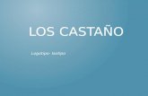 LOS CASTAÑO Logotipo- Isotipo. UN COMPROMISO CON LA CALIDAD DESDE 1933. La herencia de nuestra compañía es su larga tradición panadera, iniciada en el.
