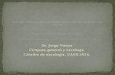 Dr. Jorge Ymaya Cirujano general y oncólogo. Cátedra de oncología, UASD,2014.