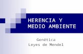 HERENCIA Y MEDIO AMBIENTE Genética Leyes de Mendel.