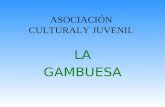 ASOCIACIÓN CULTURALY JUVENIL LA GAMBUESA HISTORIA DE LA GAMBUESA La Asociación Juvenil y Cultural de Estudiantes Majoreros la Gambuesa, un año más se.