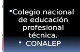 Colegio nacional de educación profesional técnica.  CONALEP.