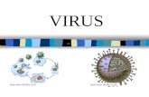 VIRUS. 2 ¿Qué son? Un virus es básicamente una pequeña cantidad de material genético dentro de una cubierta. Necesitan un huésped para replicarse por.