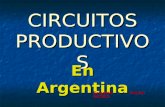 CIRCUITOS PRODUCTIVOS En Argentina Gricelda Analía Guillén.