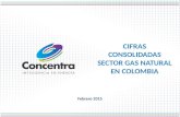 Febrero 2015 CIFRAS CONSOLIDADAS SECTOR GAS NATURAL EN COLOMBIA.