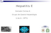 Hepatitis E Gonzalo Correa A Grupo de Gastro-hepatología U de A - HPTU.