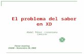 El problema del sabor en XD Abdel Pérez -Lorenzana CINVESTAV Flavor meeting UNAM – Noviembre 24, 2008.