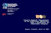 Proyecto Regional “Mejoramiento de las Condiciones Ambientales (agua y saneamiento) de Comunidades Indígenas” Bogotá, Colombia, Abril de 2006 ÁREA DE DESARROLLO.
