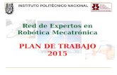 Doctorado en Ingeniería en Sistemas Robóticos y Mecatrónicos Red de Expertos en Robótica Mecatrónica PLAN DE TRABAJO 2015 INSTITUTO POLITÉCNICO NACIONAL.