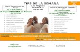TIPS DE LA SEMANA Mejor Gerente con su Grupo VICTORIA BARRAL Zona Centro Las Mejores Semana 01 del P- 08 Mejor Organización, liderada por VICTORIA BARRAL.