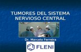 TUMORES DEL SISTEMA NERVIOSO CENTRAL Dr. Marcelo Ferreira.