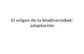 El origen de la biodiversidad: adaptación. ADAPTACION : Adecuación de los seres vivos a las condiciones del medio en el que viven TIPOS: a.Corporales.