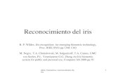 Ident. biometrica: reconocimiento de iris 1 Reconocimiento del iris R. P. Wildes, Iris recognition: An emerging biometric technology, Proc. IEEE 85(9)