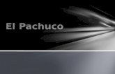 Una teoría viene de El Paso, Tejas que fue conocido como “Chuco Town” “Voy pa’ El Chuco  Pachuco Otra teoría “pachuco” viene de “pocho”, un mexicano.