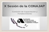 X Sesión de la CONAJAP Comisión de Capacitación y Fortalecimiento.