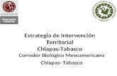 Estrategia de Intervención Territorial Chiapas-Tabasco Corredor Biológico Mesoamericano Chiapas- Tabasco.