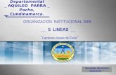 “ Docentes directivos, 2009/2012. ” Institución Educativa Departamental _ AQUILEO PARRA _ Pacho, Cundinamarca. ORGANIZACIÓN INSTITUCIONAL 2009 __ 5 LINEAS.
