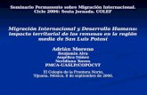 Seminario Permanente sobre Migración Internacional. Ciclo 2006: Sexta Jornada. COLEF Migración Internacional y Desarrollo Humano: impacto territorial de.