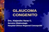 GLAUCOMA CONGENITO Dra. Alejandra Varas C. Servicio Oftalmología Hospital Clínico Regional Concepción.