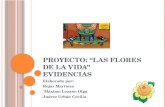 P ROYECTO : “L AS FLORES DE LA VIDA ” E VIDENCIAS Elaborado por: Rojas Martínez ´Máximo Lozano Olga Juárez Urbán Cecilia.