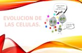 EVOLUCION DE CELULAS EUCARIOTAS La teoría que explica la constitución de los seres vivos sobre la base de células, y el papel que éstas tienen en.