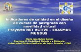 Indicadores de calidad en el diseño de cursos de postgrado con movilidad virtual Proyecto NET ACTIVE – ERASMUS MUNDUS Maria José Rubio Gómez Directora.