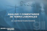 ANALISIS Y COMENTARIOS DE TEMAS LABORALES Lic. Luis Manuel Guaida Escontría.