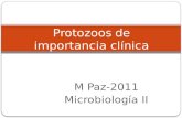 M Paz-2011 Microbiología II Protozoos de importancia clínica.