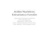 Acidos Nucleicos: Estructura y Función Universidad Interamericanade PR Recintode Bayamón Bioquímica, CHEM 4220 Prof. J. Roberto Ramirez Vivoni, Ph.D. Prof.