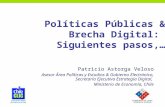 Patricio Astorga Veloso Asesor Área Políticas y Estudios & Gobierno Electrónico, Secretaría Ejecutiva Estrategia Digital, Ministerio de Economía, Chile.