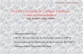 José Antonio Oller Berber Teorías Cuánticas de Campos Efectivas: Caso no Perturbativo José Antonio Oller Berber Introducción: EFT QCD: Teoría Quiral de.