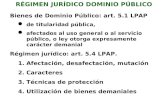 RÉGIMEN JURÍDICO DOMINIO PÚBLICO Bienes de Dominio Público: art. 5.1 LPAP lde titularidad pública, lafectados al uso general o al servicio público, o.
