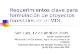 Requerimientos clave para formulación de proyectos forestales en el MDL San Luis, 12 de abril de 2005 Walter Oyhantçabal Ministerio de Ganadería, Agricultura.