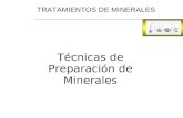 TRATAMIENTOS DE MINERALES Técnicas de Preparación de Minerales.