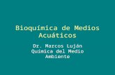 Bioquímica de Medios Acuáticos Dr. Marcos Luján Química del Medio Ambiente.