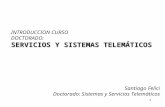 1 INTRODUCCION CURSO DOCTORADO: SERVICIOS Y SISTEMAS TELEMÁTICOS Santiago Felici Doctorado: Sistemas y Servicios Telemáticos.